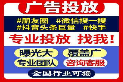 行业领先企业的SEM广告策略与效果分析